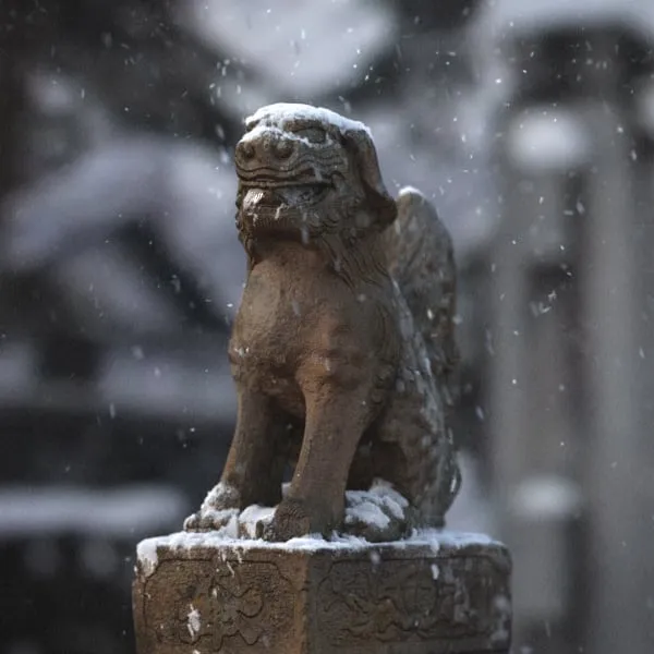 Komainu in Snow