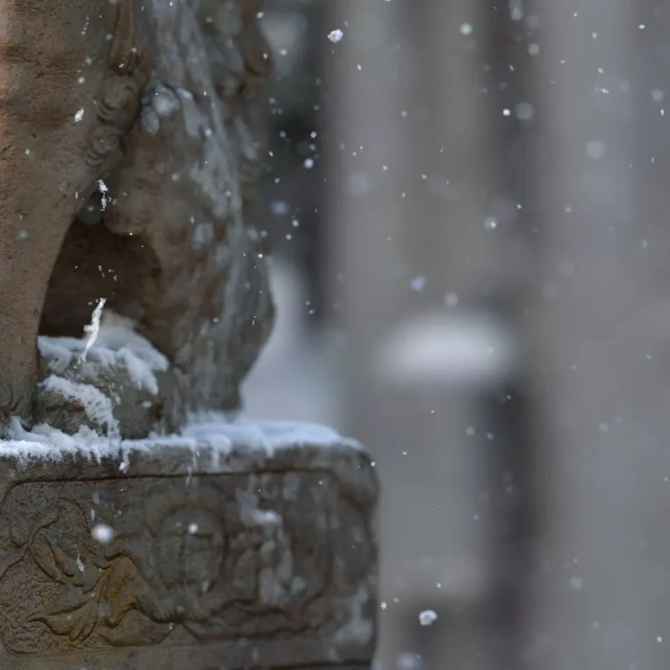 Komainu in Snow